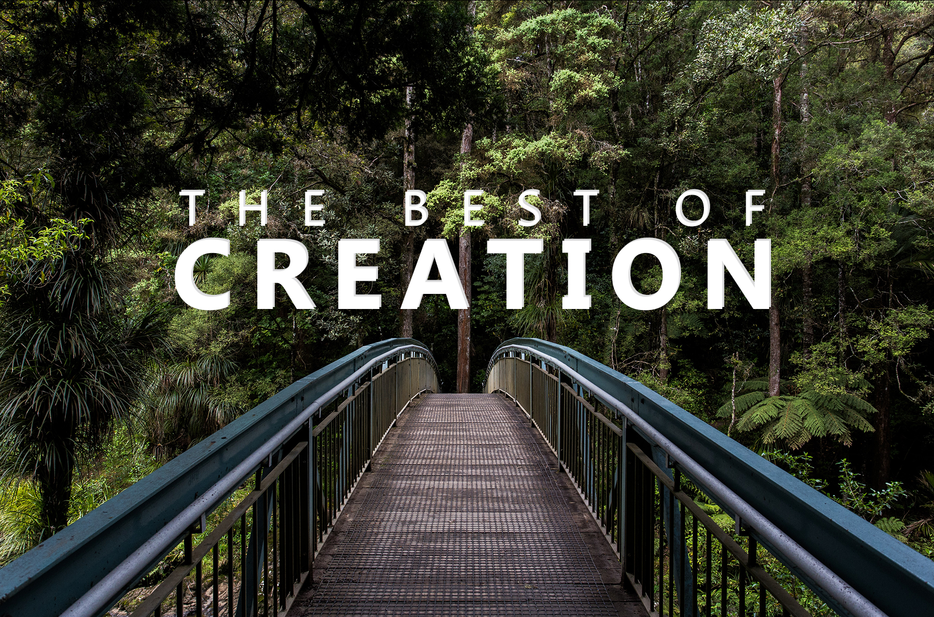 Best of Creation